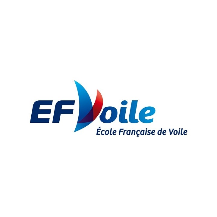 Pins de niveau