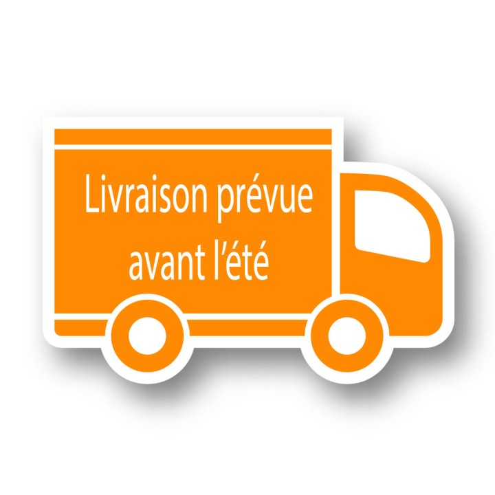 Pins de niveau