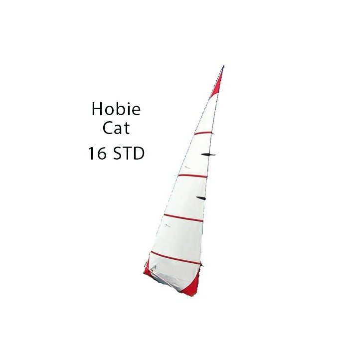 Foc catamaran ForwardSailing