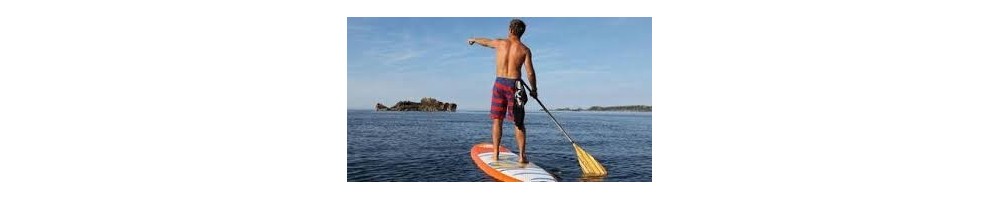 Paddle